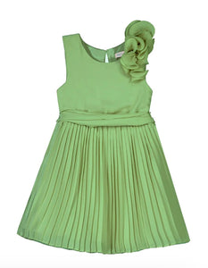 Pleated Dress